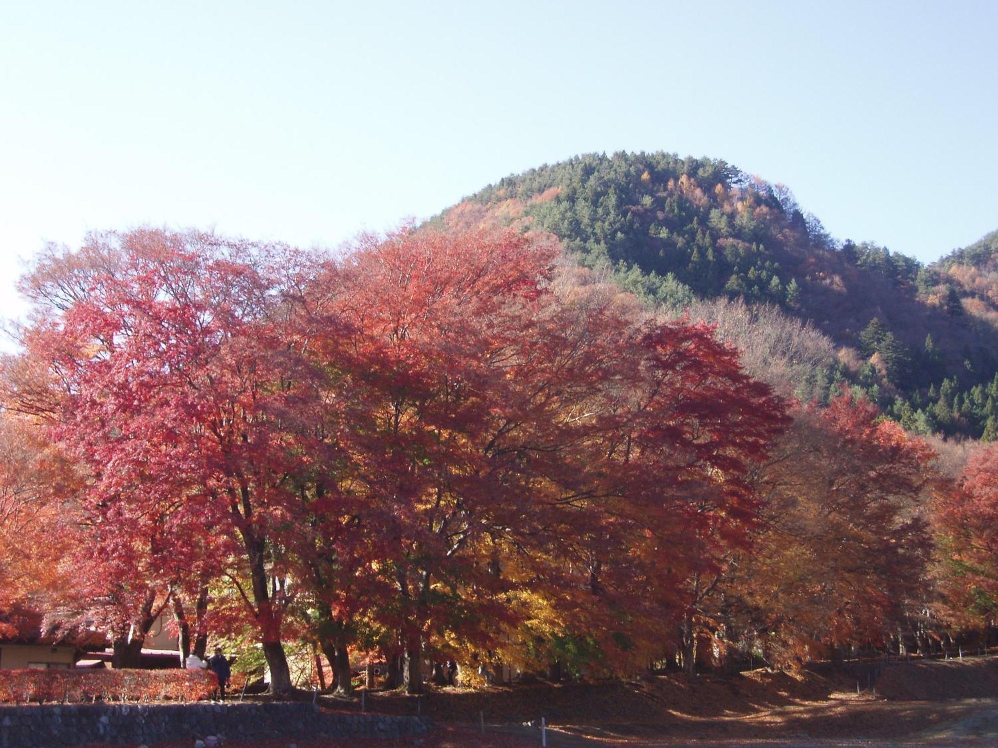 Komaya Ryokan Fujikawaguchiko Exterior foto
